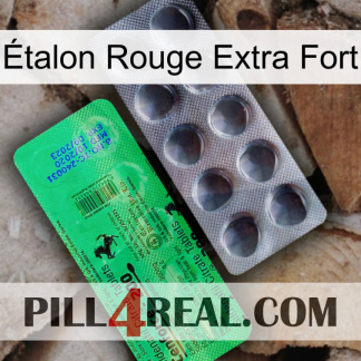 Étalon Rouge Extra Fort new04